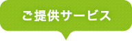 提示した解決策